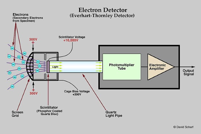 1-Secondary-Electron-Detector1