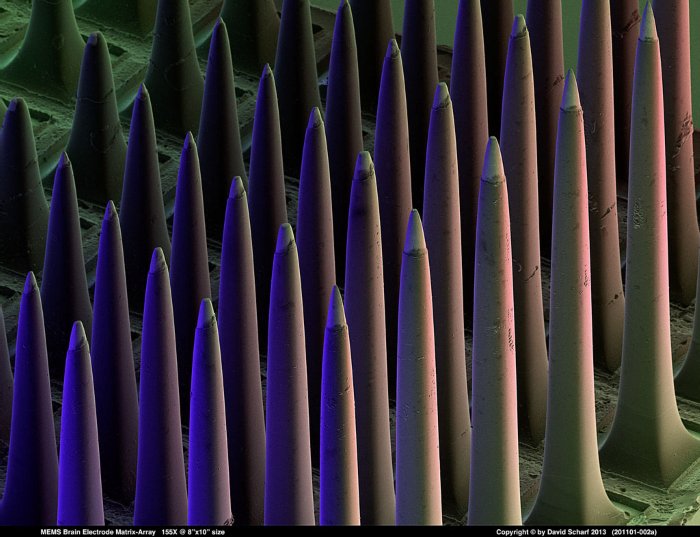 201101-002a-MEMS-Electrode-Array1