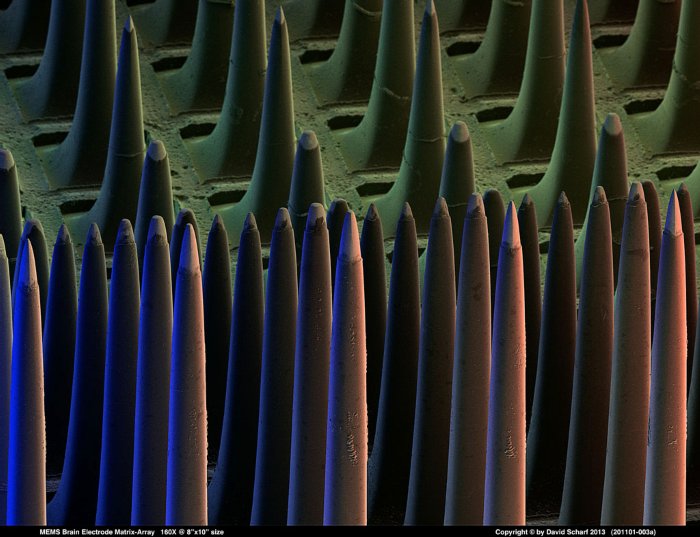 201101-003a-MEMS-Electrode-Array1