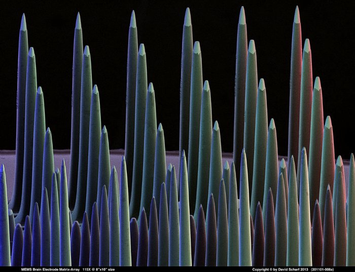 201101-008a-MEMS-Electrode-Array1