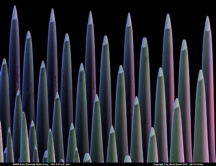 201101-010a-MEMS-Electrode-Array1