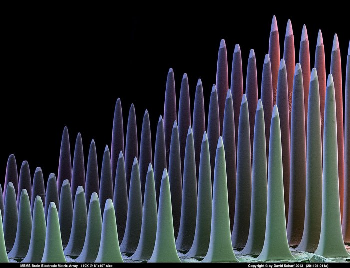 201101-011a-MEMS-Electrode-Array1