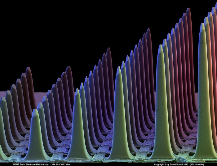 201101-014a-MEMS-Electrode-Array1