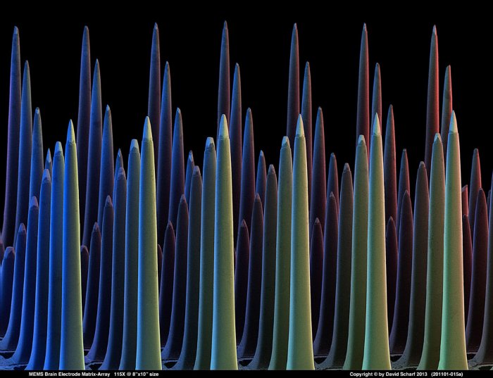 201101-015a-MEMS-Electrode-Array1