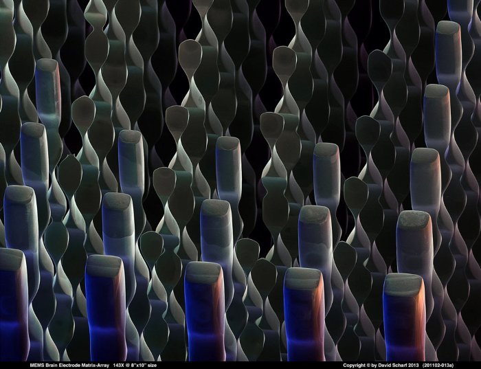 201102-015a-MEMS-Electrode-Array1