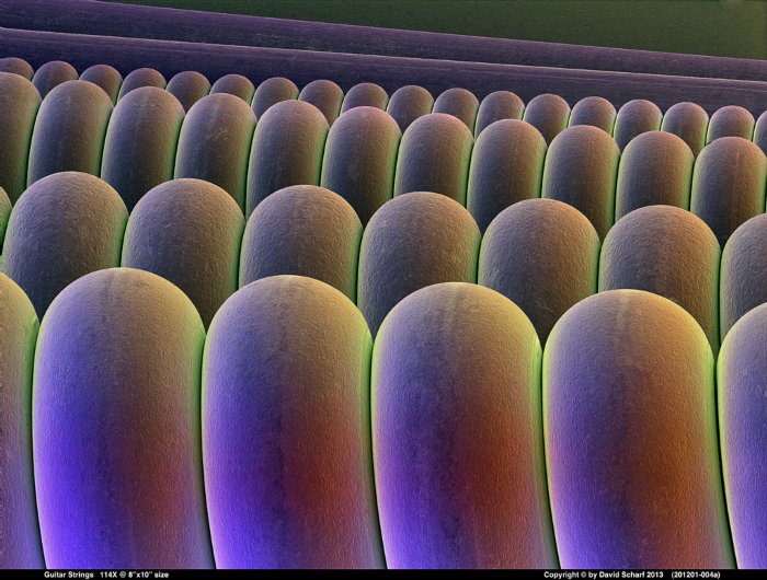 201201-004a-Guitar-Strings1