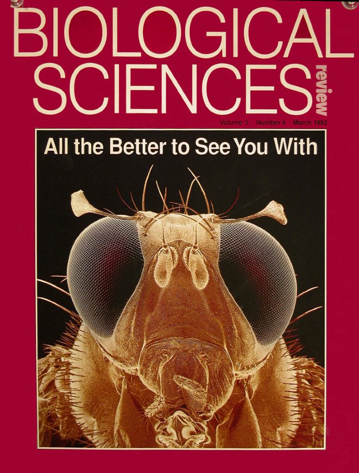 Bio-Sciences-Review-4-19931