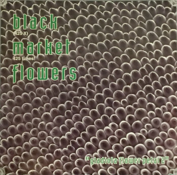 Black-Market-Flowers-Album1