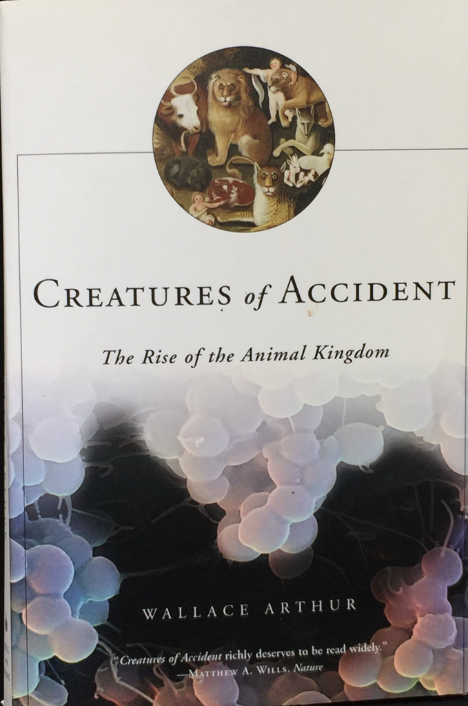 Creatures-of-Accident1