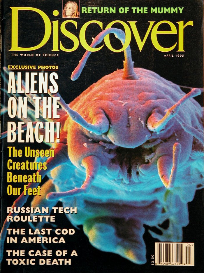 Discover-4-199512