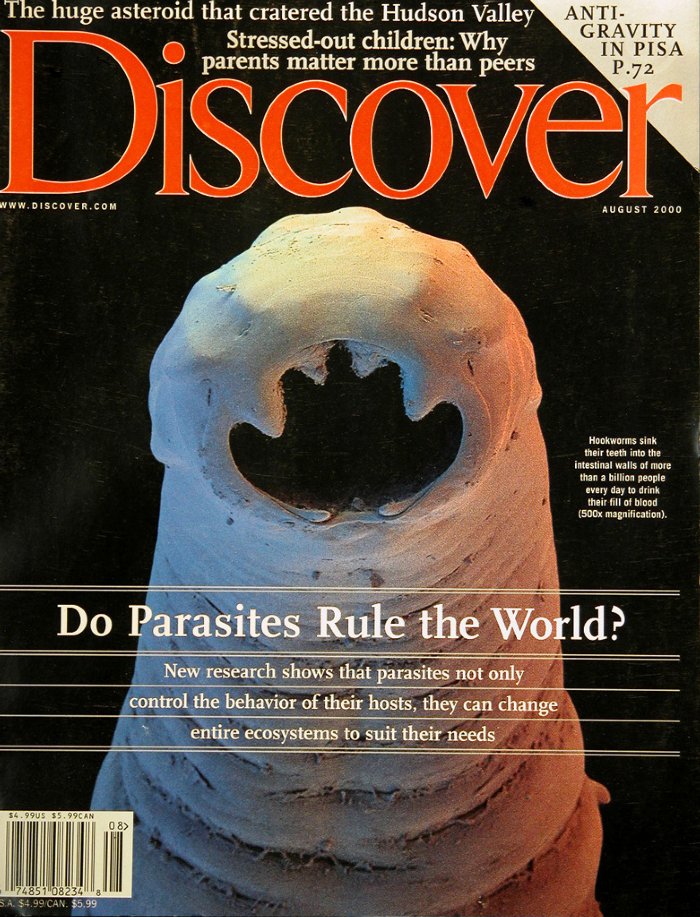 Discover-8-200012