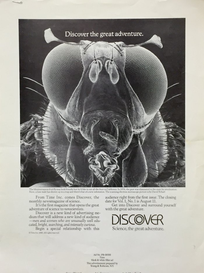 Discover-Magazine-Ad1