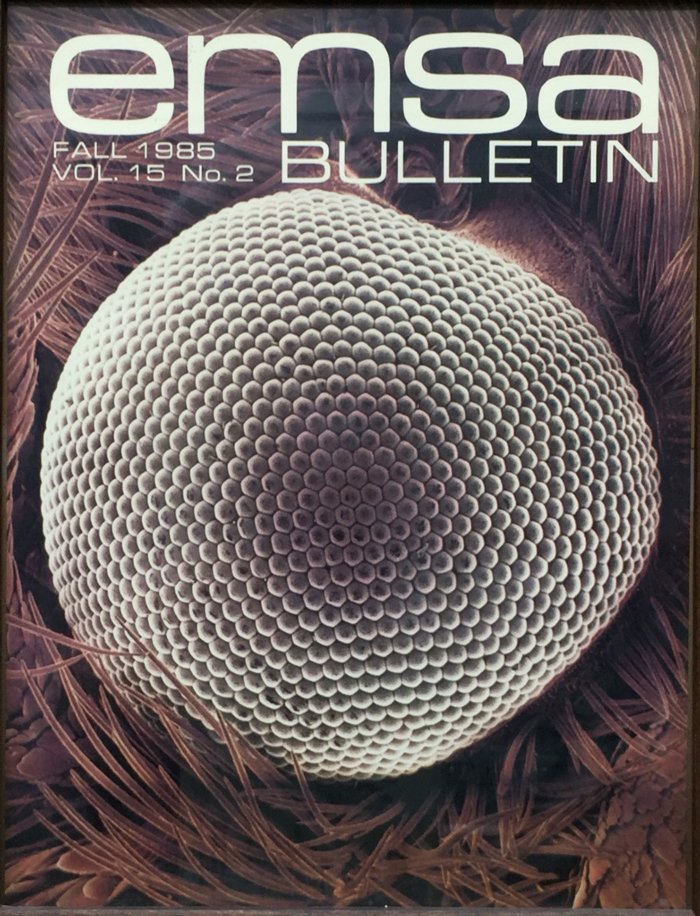 EMSA-Bulletin-Fall-19851