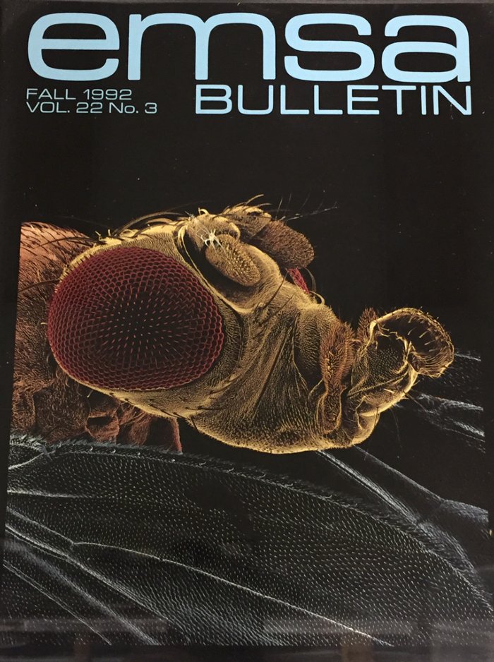 EMSA-Bulletin-Fall-19921