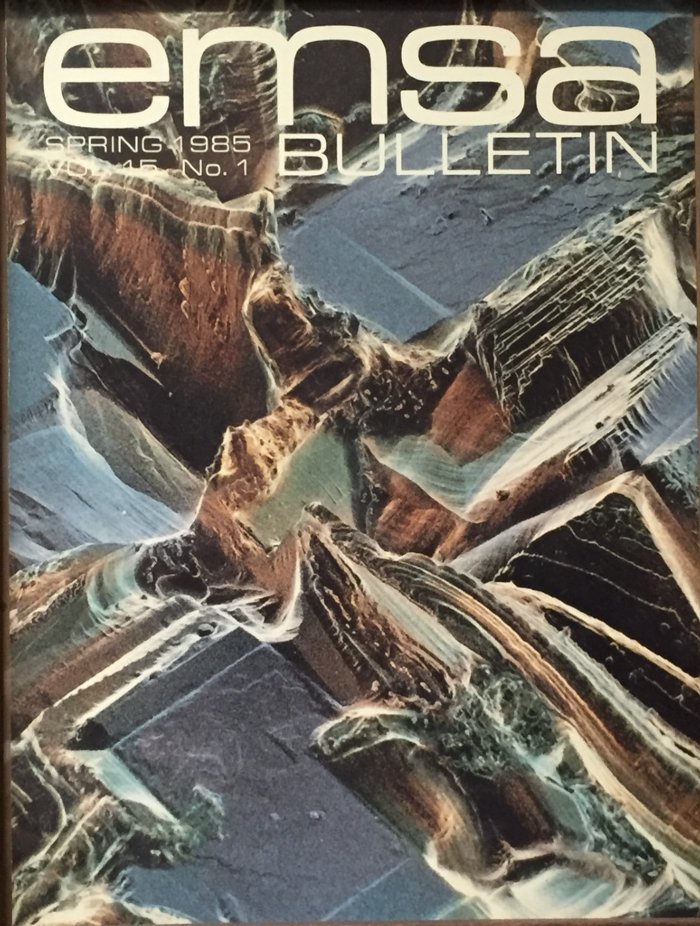 EMSA-Bulletin-Spring-19851