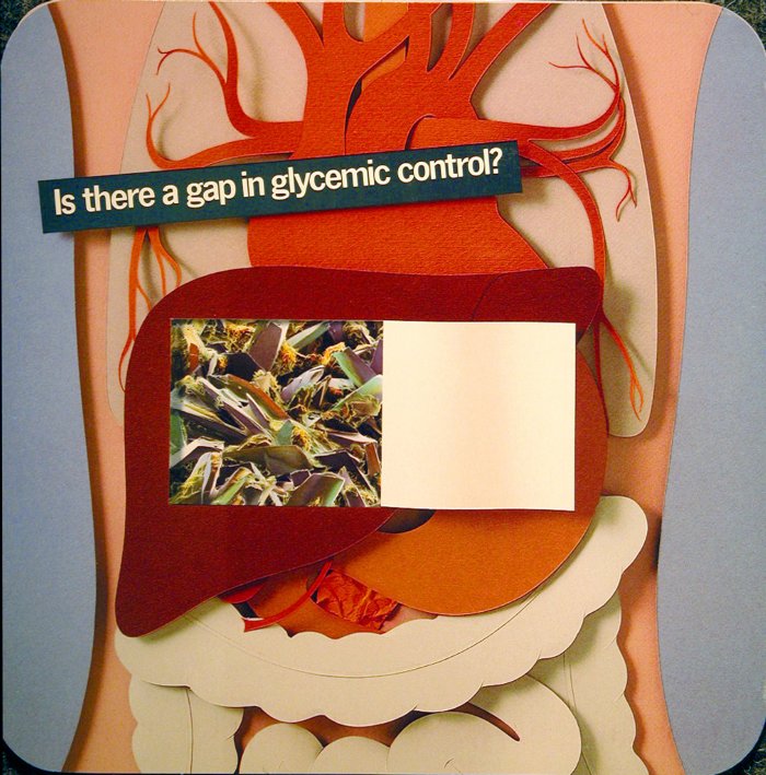 Glycemic-Control-Ad11