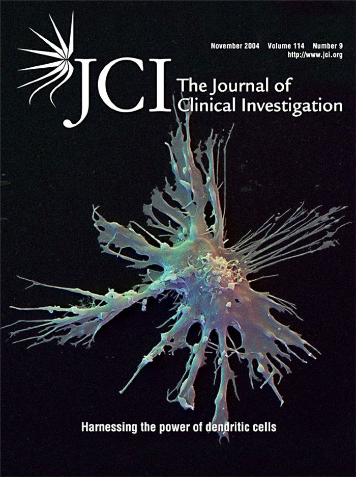 JCI-11-20041