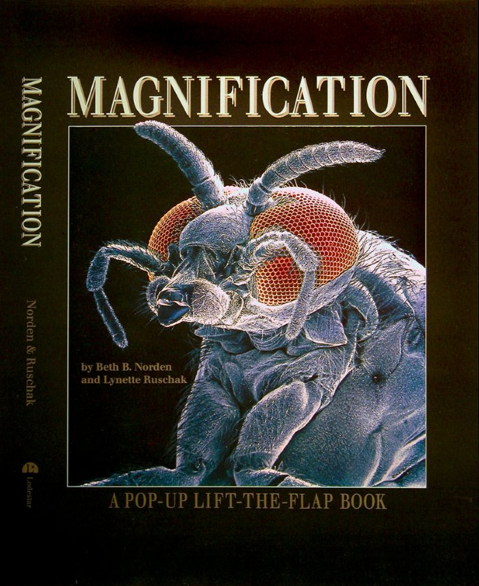 Magnification-Cover11