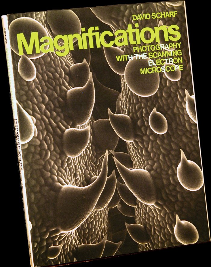 Magnifications11