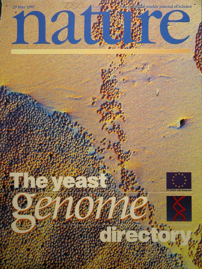Nature-5-19971