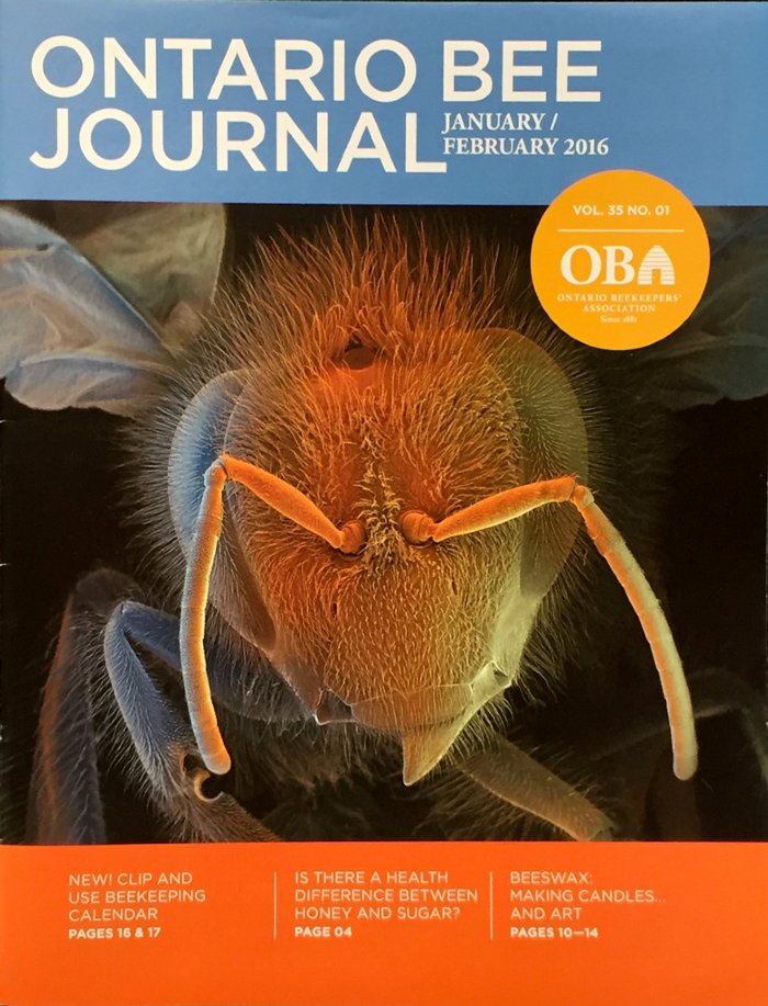 Ontario-Bee-Journal-2-20161