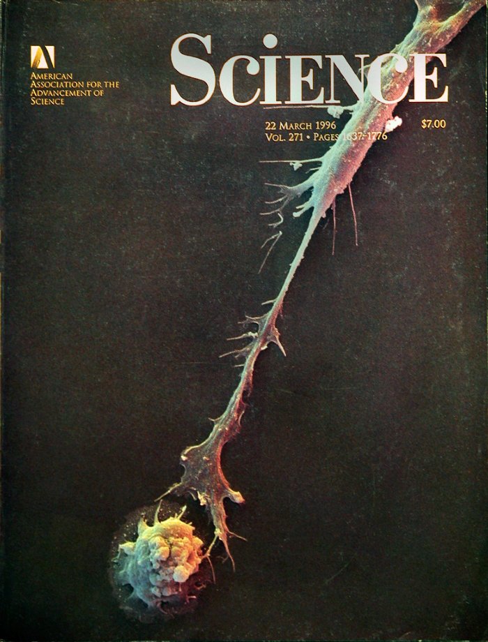 Science-3-19961