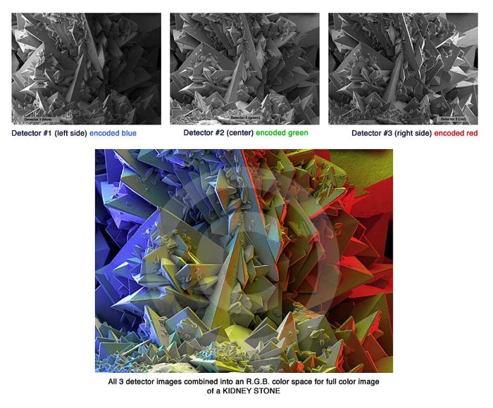 Example of SEM image